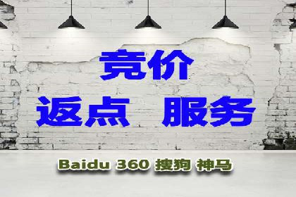 百度SEO推广公司案例解析：实战优化技巧全解读